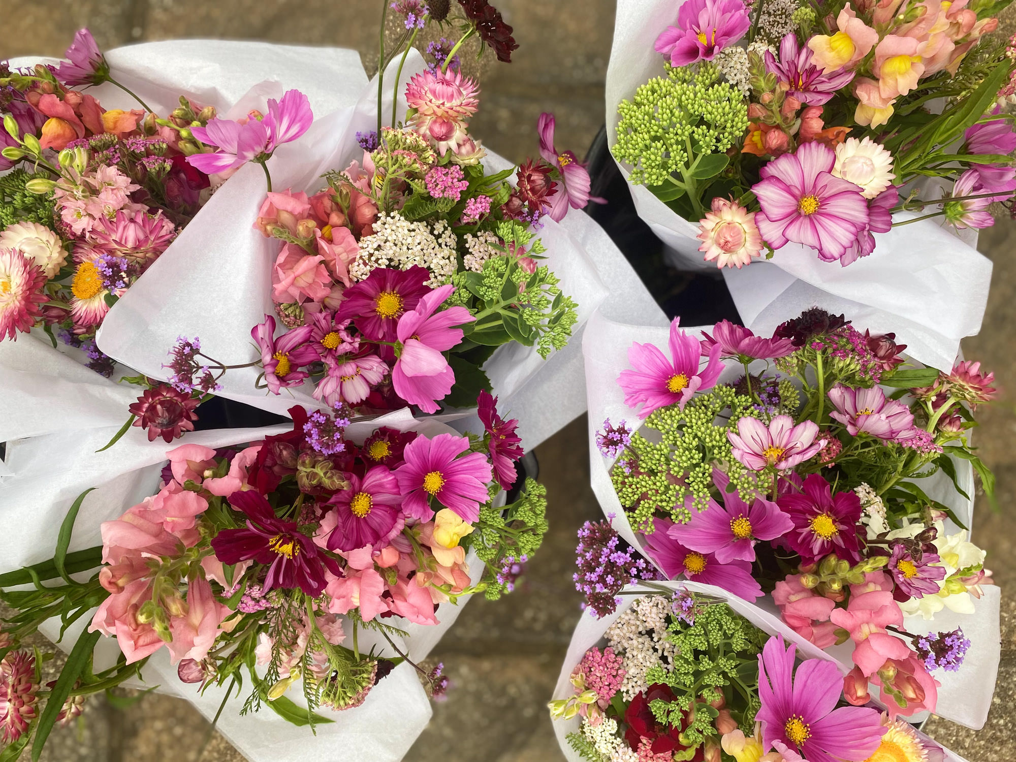 Flos - Hertfordshire Organic Flower Farm - wedding cut fresh flowers