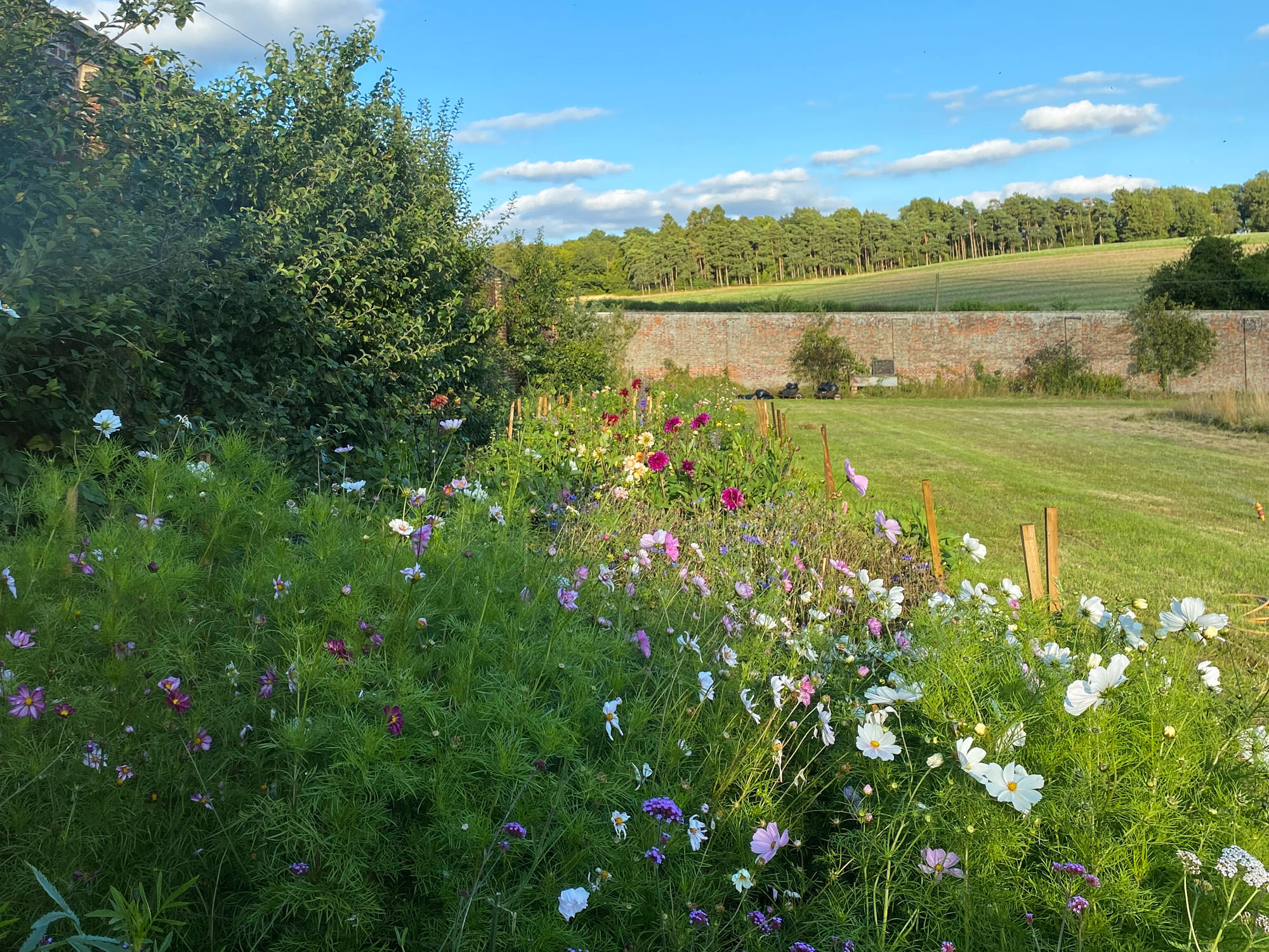 Flos - Hertfordshire Organic Flower Farm - wedding cut fresh flowers