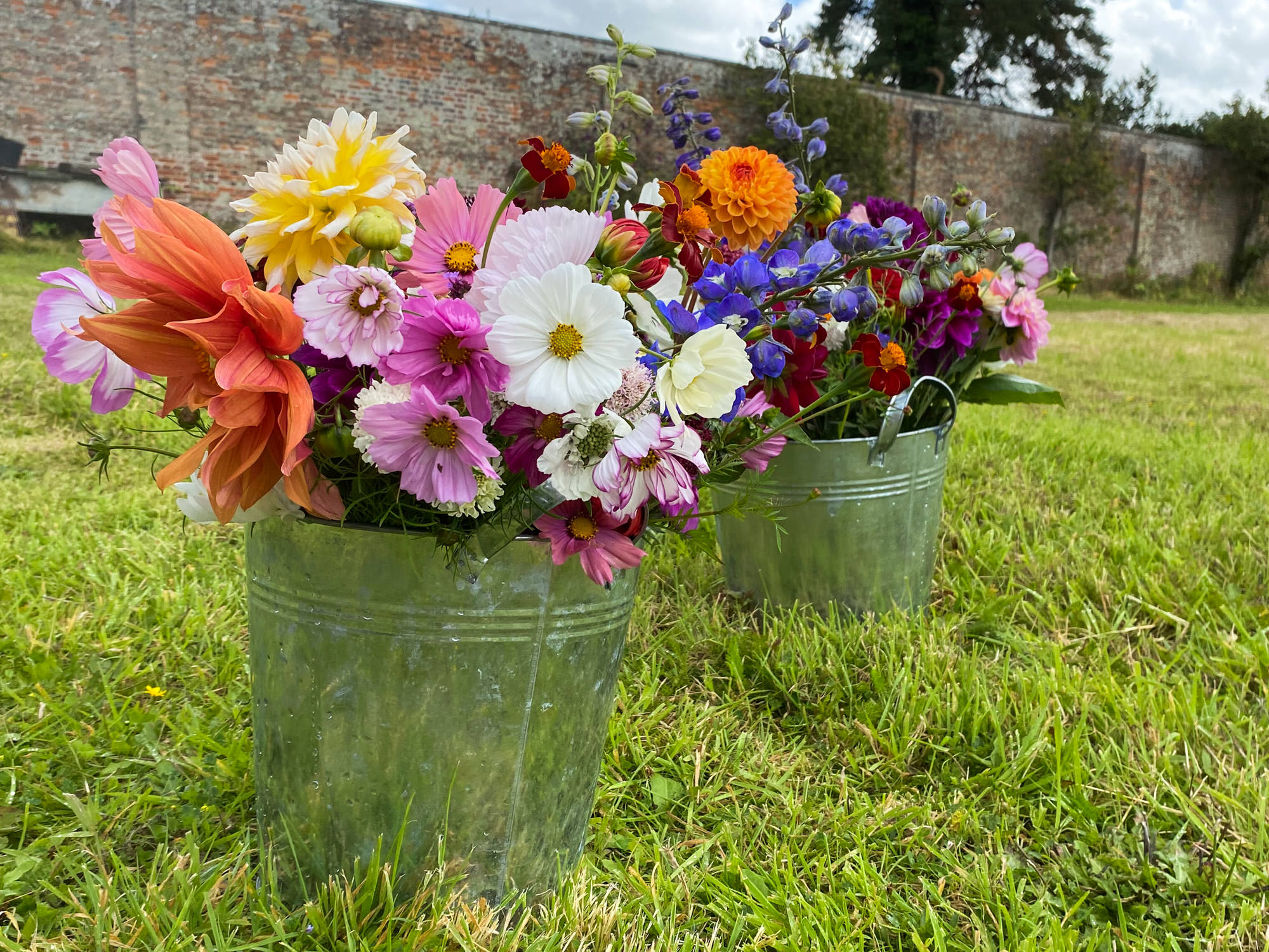 Flos - Hertfordshire Organic Flower Farm - wedding cut fresh flowers