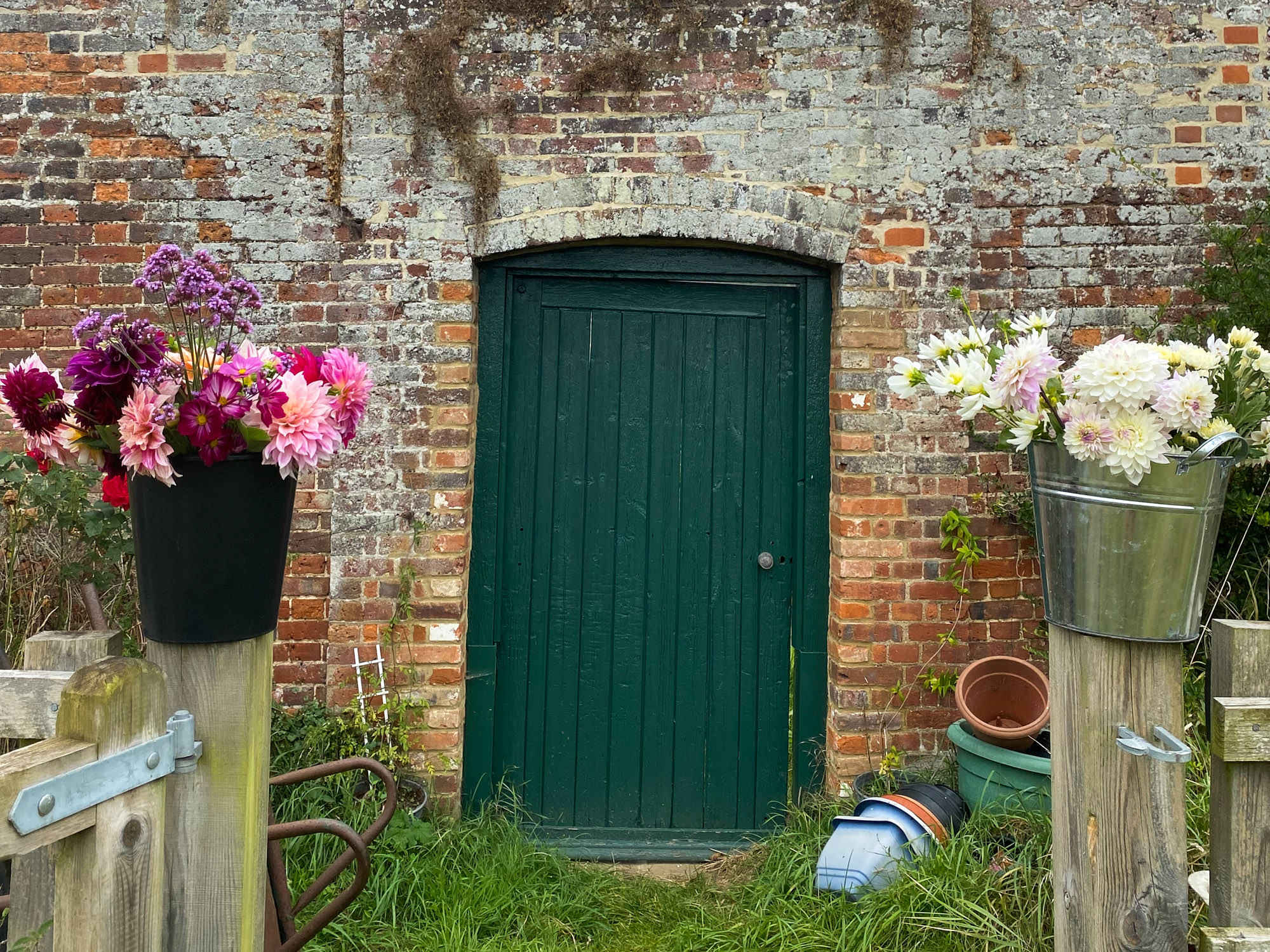 Flos - Hertfordshire Organic Flower Farm - wedding cut fresh flowers