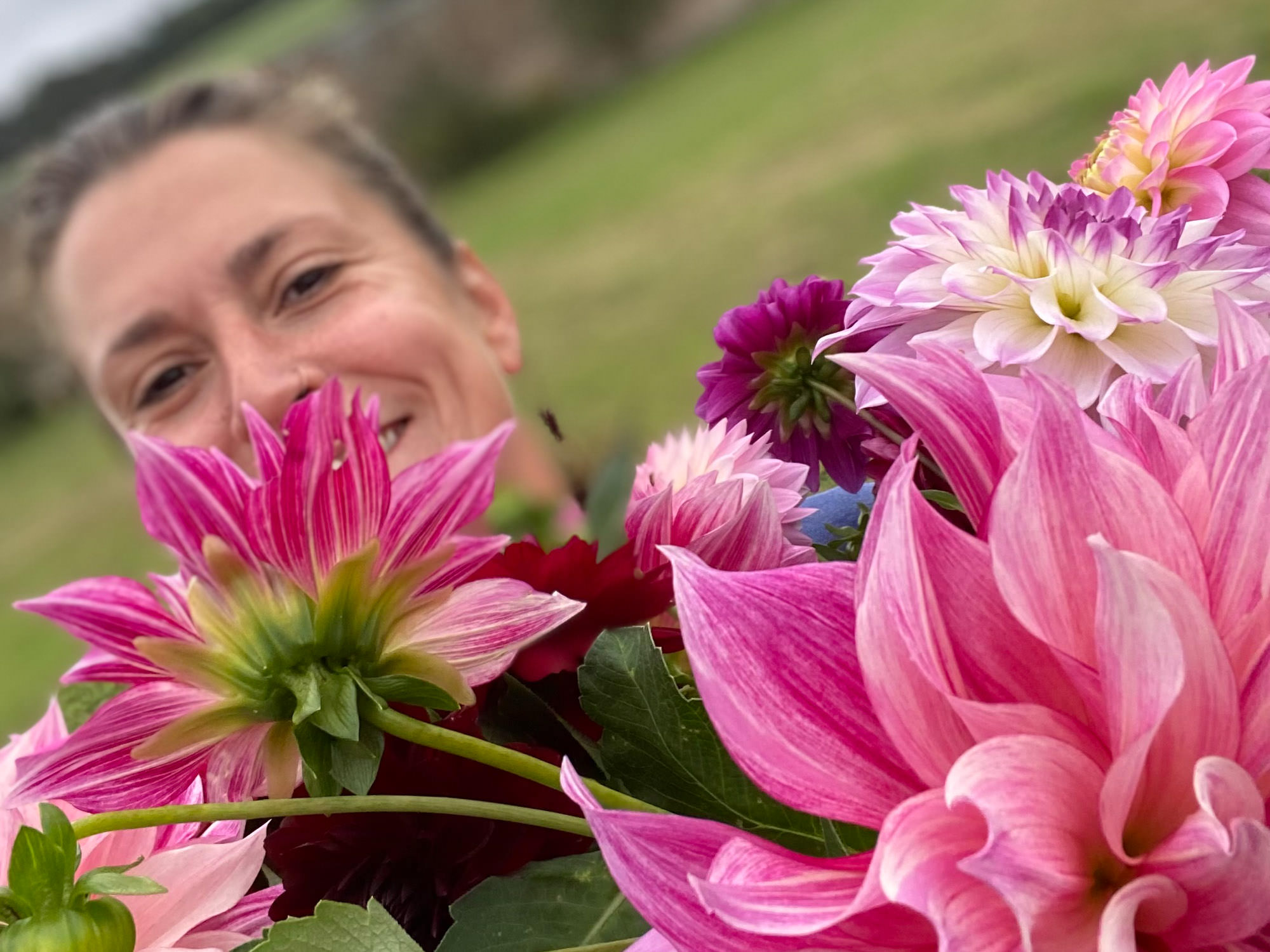 Flos - Hertfordshire Organic Flower Farm - wedding cut fresh flowers