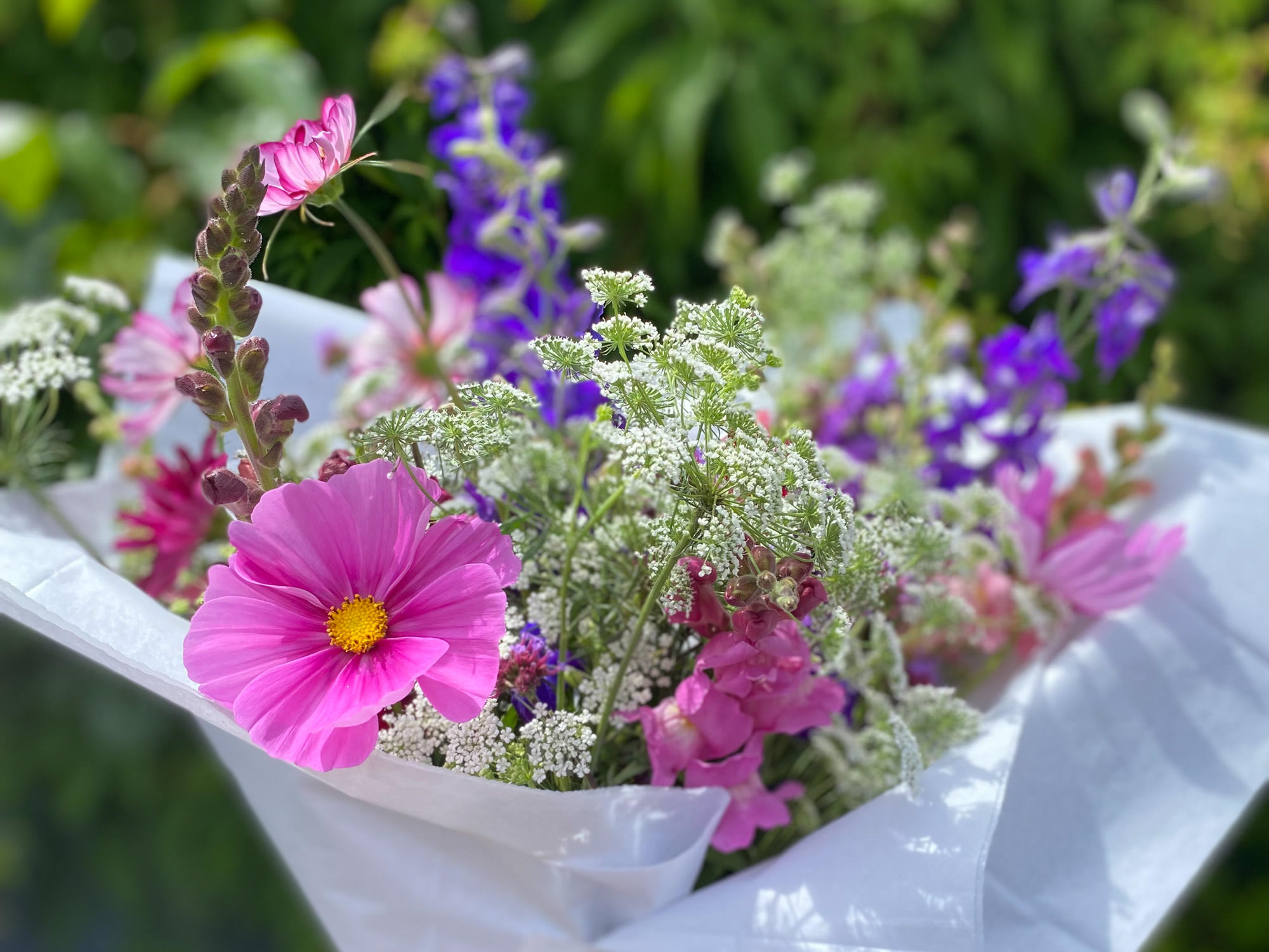 Flos - Hertfordshire Organic Flower Farm - wedding cut fresh flowers