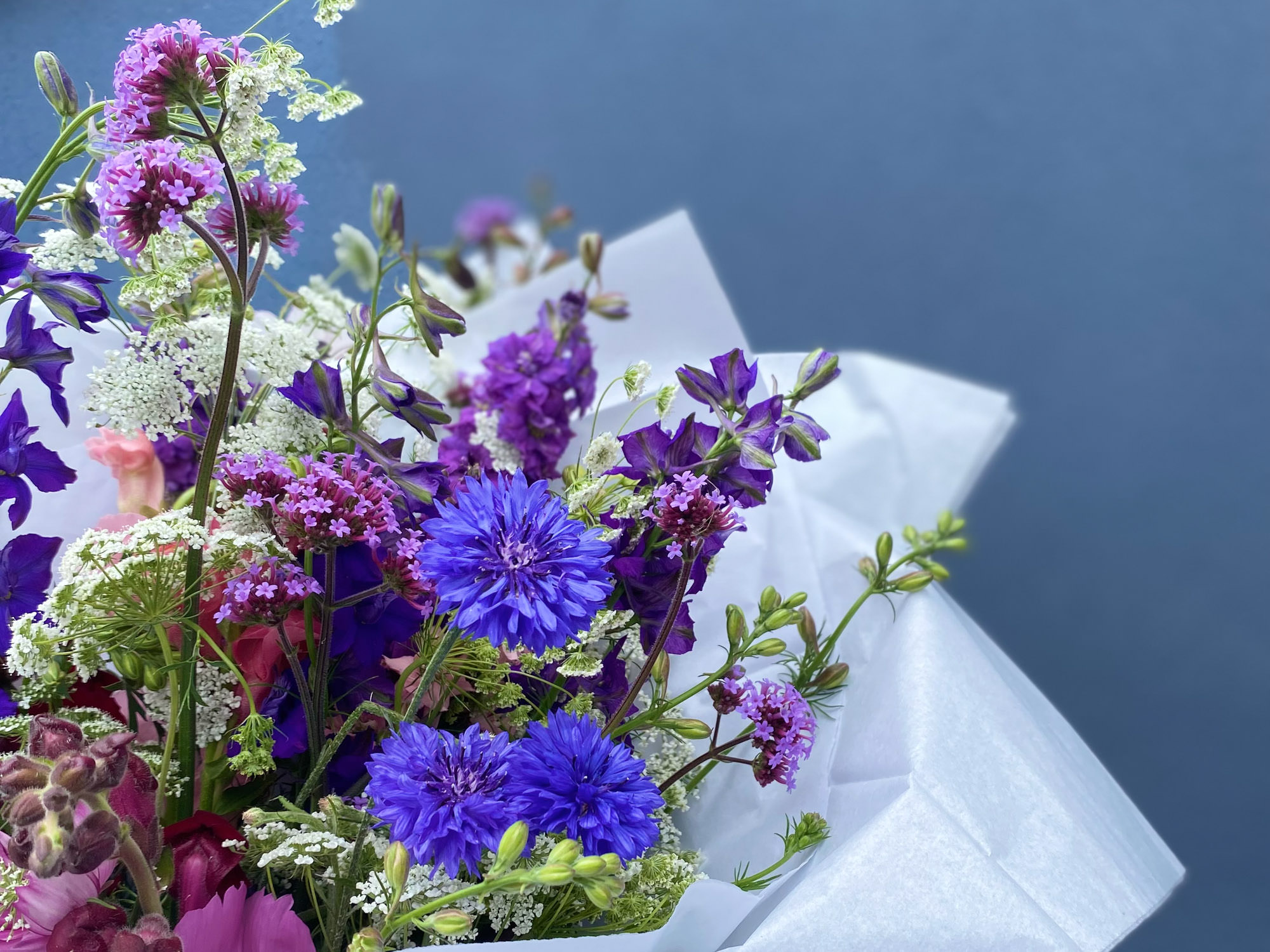 Flos - Hertfordshire Organic Flower Farm - wedding cut fresh flowers